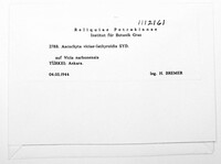 Image Associated With the Occurence